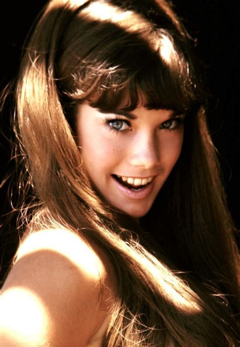 barbi benton playboy pictures|Stunning Photos of a Young Barbi Benton in the 1970s and 1980s